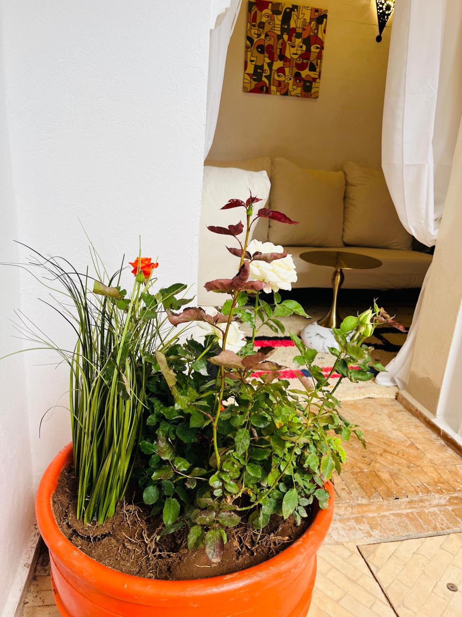 Riad Darna 4 Chambres Avec Piscine Et Petit Dejeuner Marrakesh Extérieur photo